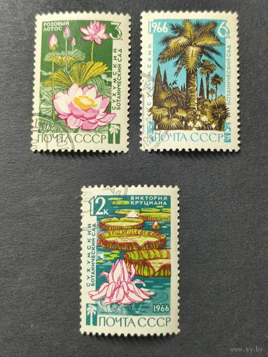 1966 СССР. 125 летие Сухумского ботанического сада. Полная серия