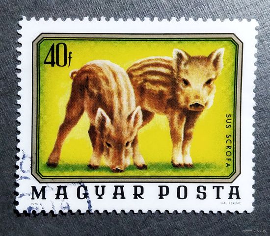 Марка Венгрия 1976 год фауна