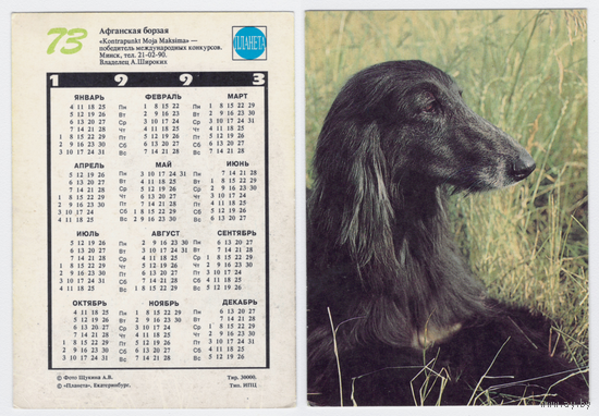Календарь афганская борзая N73 1993