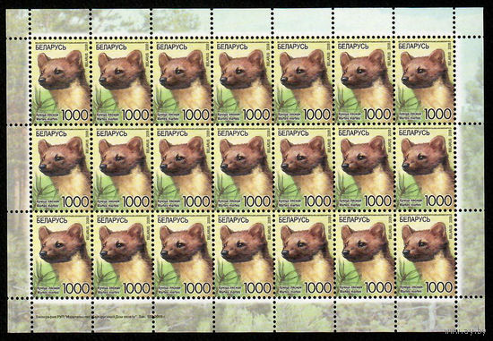 Беларусь. 2008. Стандарт. Куница лесная (1000р) (з.137-2009) Лист