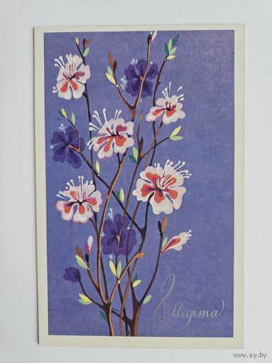 Величкина 1988 8  марта