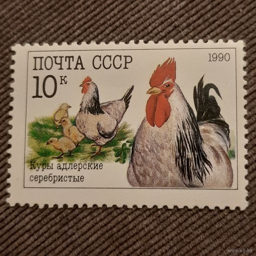 СССР 1990. Куры Адлерские серебристые. Марка из серии