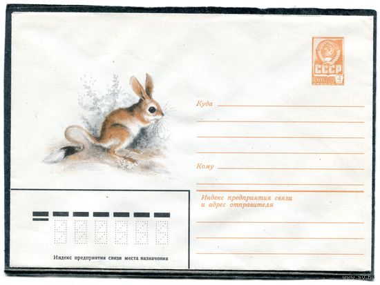 СССР 1980. ХМК. Конверт. Земляной заяц