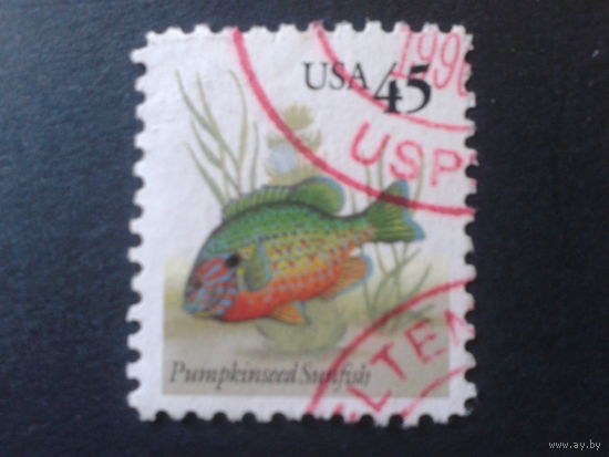 США 1992 стандарт, рыба