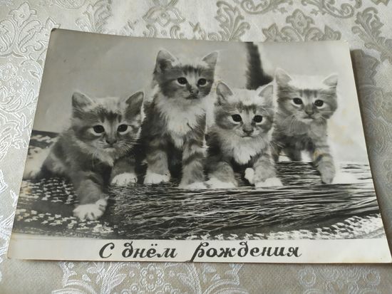 Открытка "С днем рождения"\3