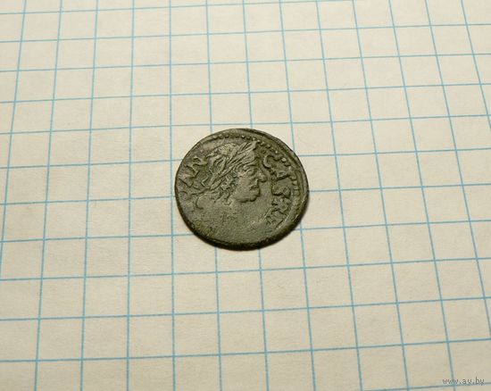 Боратинка 1664 Уяздов