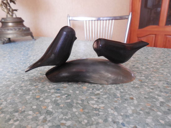 Птицы . Рог .