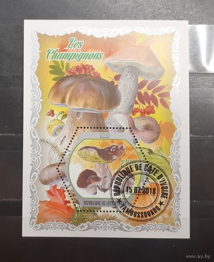Кот-д`Ивуар. 2018 год. Флора. Грибы. Блок (1015)