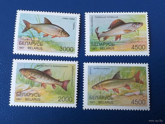 Беларусь 1997 Рыбы