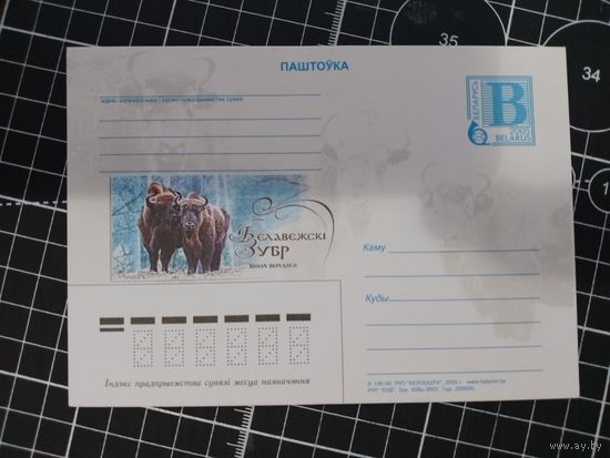 Беларусь. 2005. Беловежский зубр