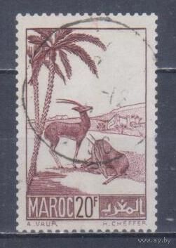 [1903] Французские колонии. Марокко 1939. Фауна.Антилопы.20 фр. Гашеная марка.