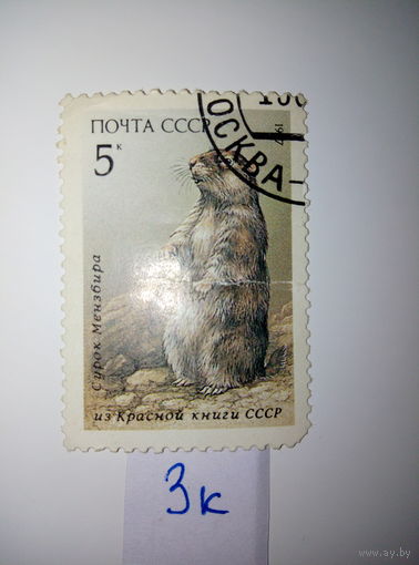 Марки СССР 1987 г. Сурок Мензбира 5к.