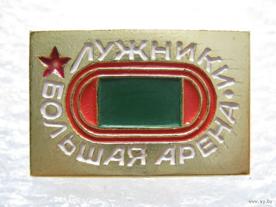 Лужники, большая арена.