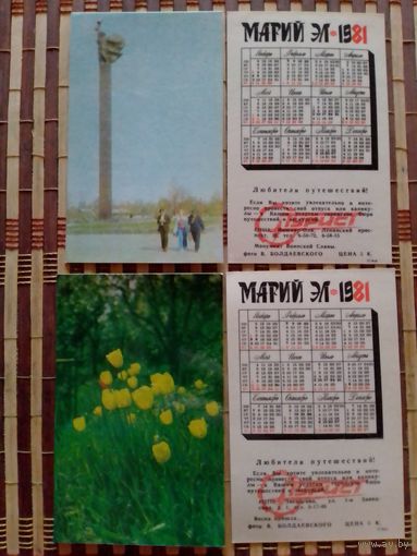 Карманные календарики.Турист.1981 год