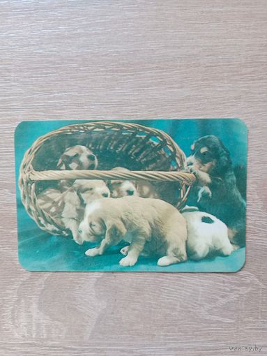 Календарик 1991