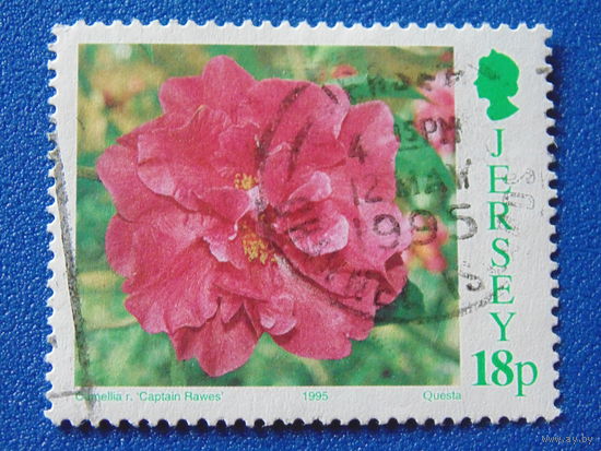 Джерси 1995 г. Цветы.