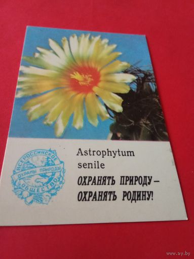 Календарик 1986г.