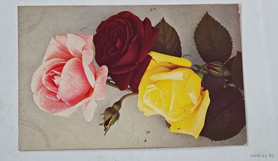 1908 год Либава Открытка