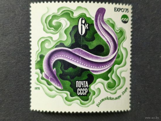 1975 СССР. Всемирная выставка "ЭКСПО-75", Окинава. Европейский угорь