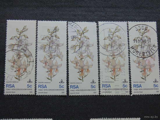 ЮАР 1981г. Флора.