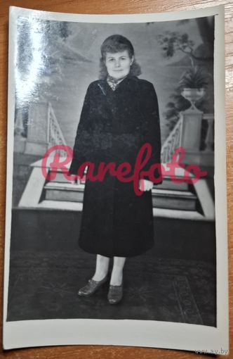 1958 Брест Девушка студийное фото ретро типаж