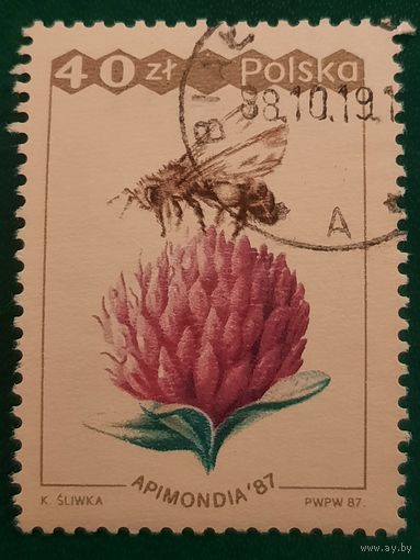 Польша 1987. Всемирный конгресс пчеловодства. Марка из серии