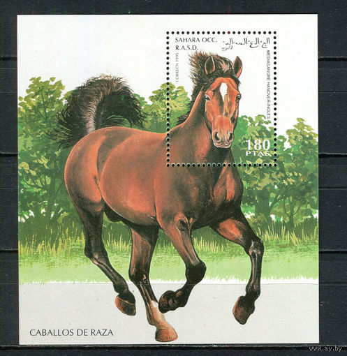 Сахара - 1995 - Лошади - 1 блок. MNH.  (LOT De49)
