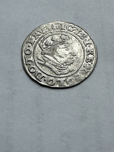 Грош 1540. Гданьск. Штемпельный блеск. Коллекционное состояние.