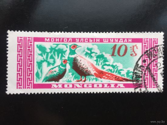 Монголия 1959 год. Фазаны
