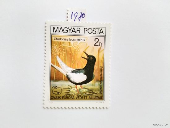 Венгрия  1971