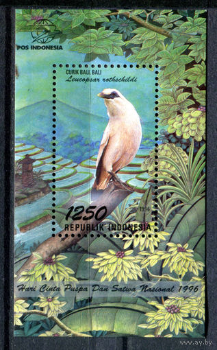 Индонезия - 1996г. - птицы, день флоры и фауны - 1 блок - полная серия, MNH [Mi bl. 115]. #4-W1-Z-2-20