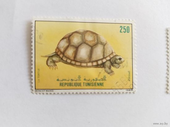 Тунис  1984  черепаха
