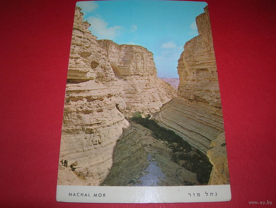 Израиль Нахаль Мор чистая