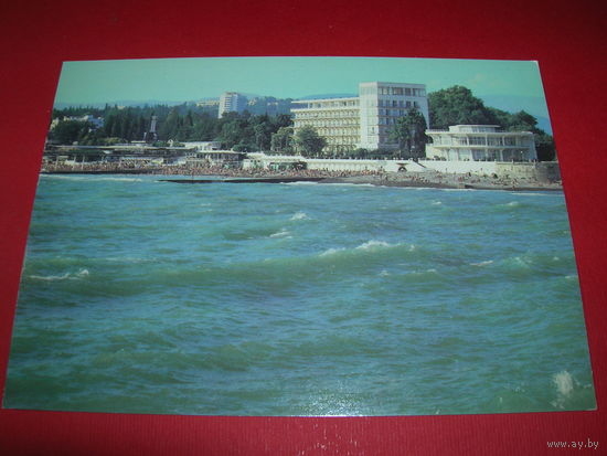 Сочи Вид на санаторий 1981 год чистая