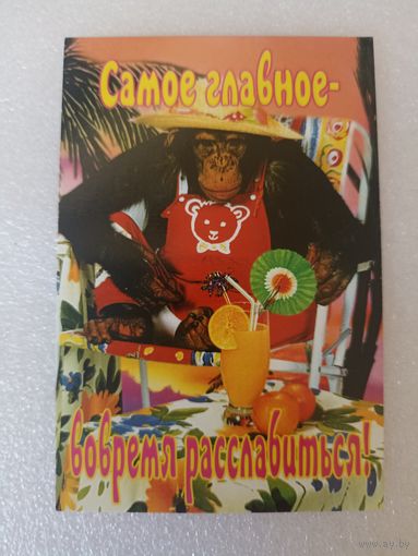 Животные, Обезьяны, 2004 год. Карманные календарики, Календарик, Календарь