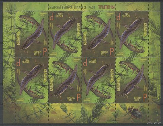 Беларусь 2012 #928. Малый лист Обыкновенный тритон (8P)