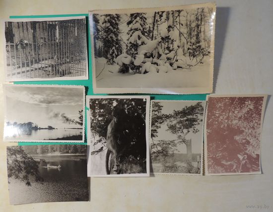 Фото "Санатории, дома отдыха", 1960-1970 гг., 7 шт.
