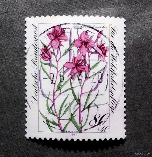 Марка Германия 1983 год Цветы