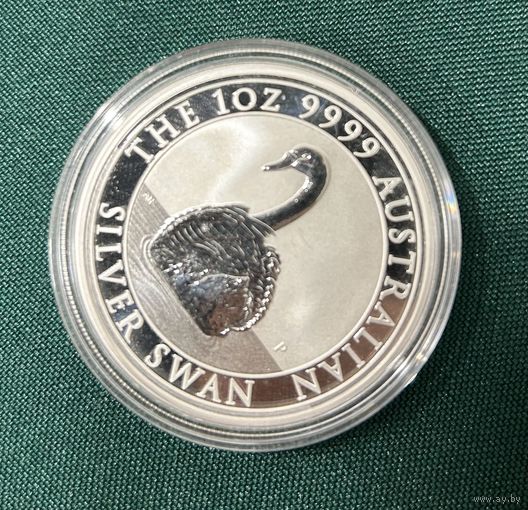 Лебеди 2023 австралия