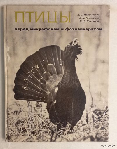 Птицы перед микрофоном и фотоаппаратом.Мальчевский А.С., Голованова Э.Н., Пукинский Ю.Б.