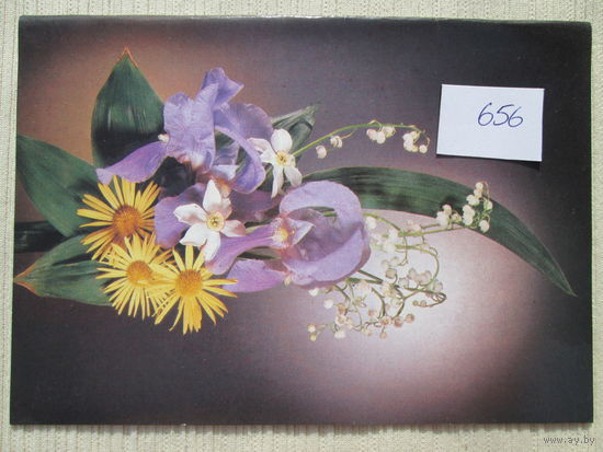 Открытка  СССР лот 656