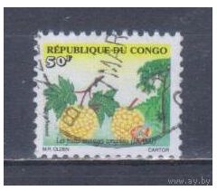 [858] Конго 2002. Флора.Фрукты.Плоды.Иками. Гашеная марка.