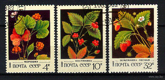 1982 СССР. Ягоды