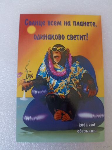 Животные, Обезьяны, 2004 год. Карманные календарики, Календарик, Календарь