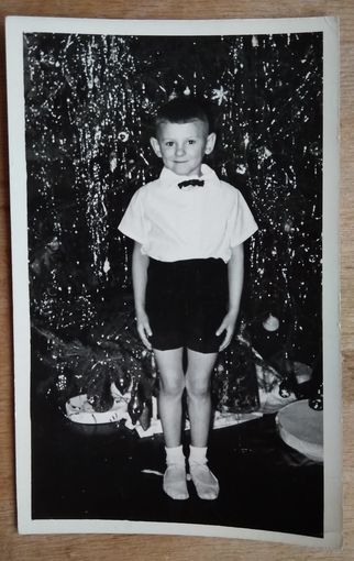 Фото у елки. 1967 г. 9х14 см