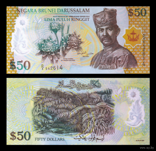 [КОПИЯ] Бруней 50 ринггит 2004г. полимерная