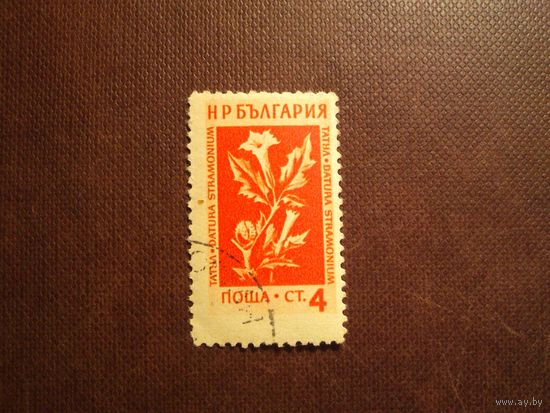 Болгария 1953 г.Дурман обыкновенный./36а/