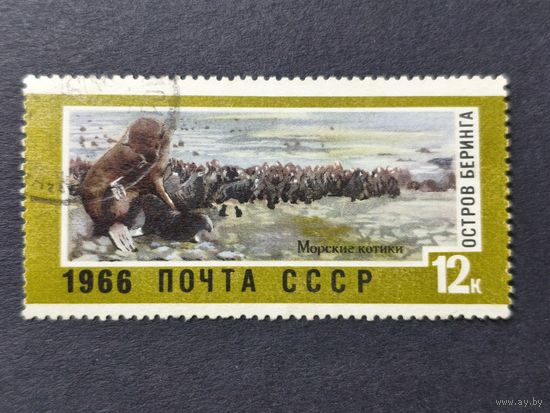 1966 СССР. Советские дальневосточные территории. Северный морской котик (Callorhinus ursinus), Беринговы острова