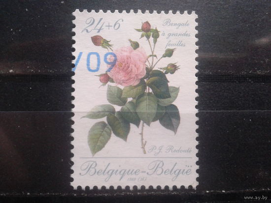 Бельгия 1988 Роза Михель-2,0 евро гаш