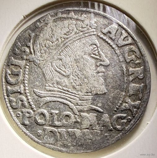 Грош 1547 Сигизмунд Август